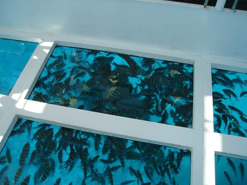 Glass Boat