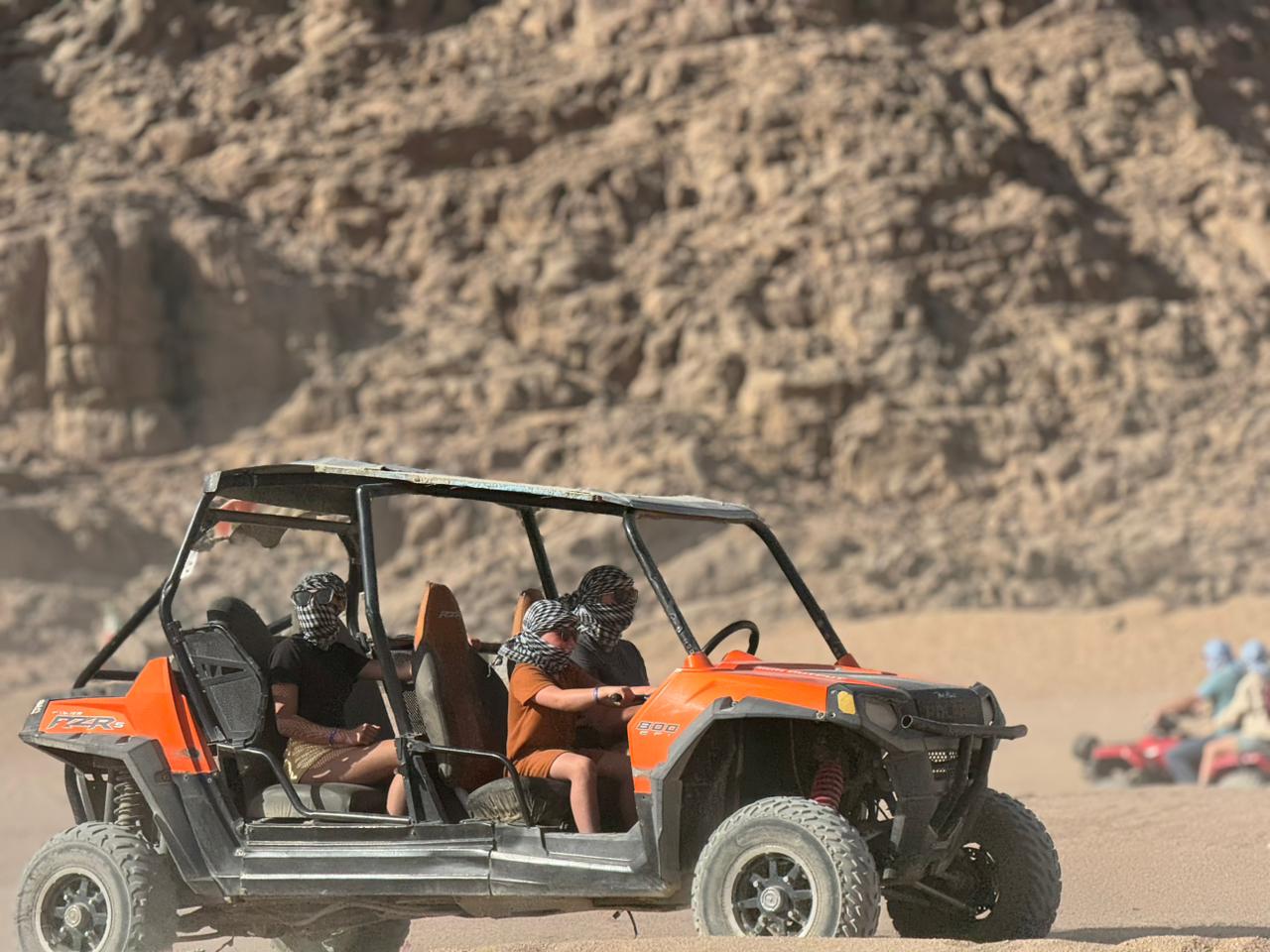 Family Buggy Safari