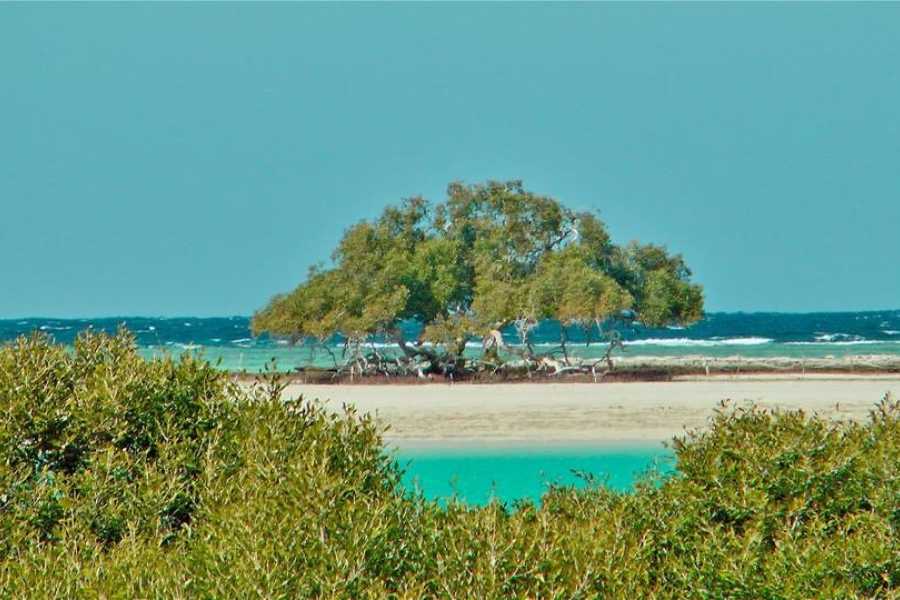 Ras Mohamed By Bus