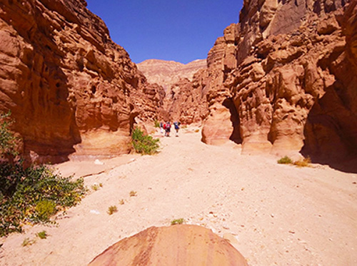 Dahab – Canyon Salama