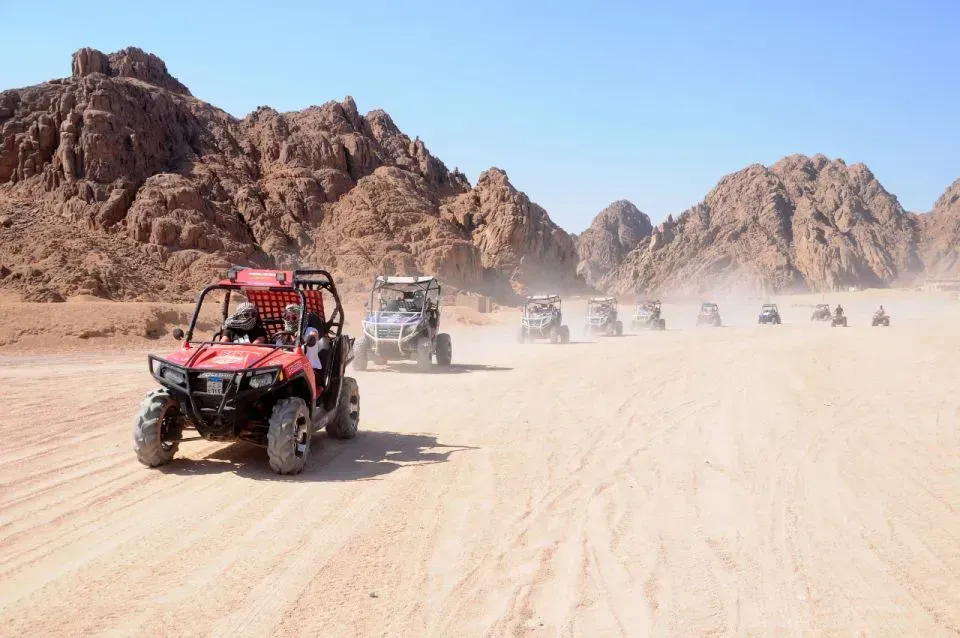 Double Buggy Safari